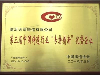 第三屆中國鑄造行業(yè)“專持精新” 優(yōu)勢企業(yè)