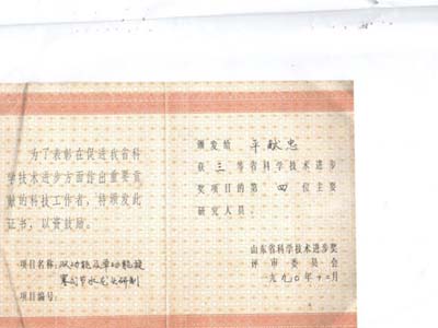 榮譽(yù)證書
