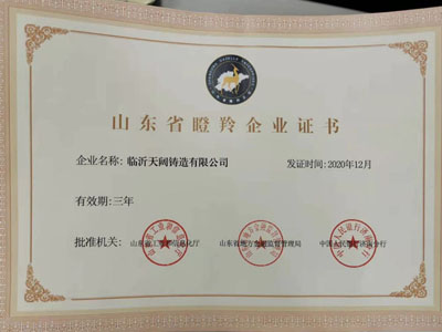 山東省瞪羚企業(yè)證書